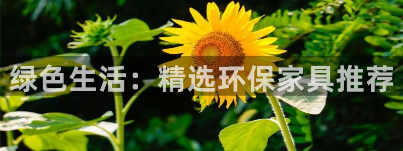 意昂5(KGAME)登陆线路：绿色生活：精选环保家具推荐